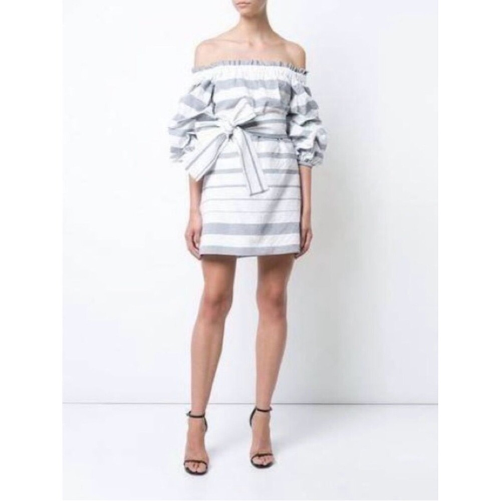 ALEXIS Striped Mini Ruched Dress - Picture 8 of 8